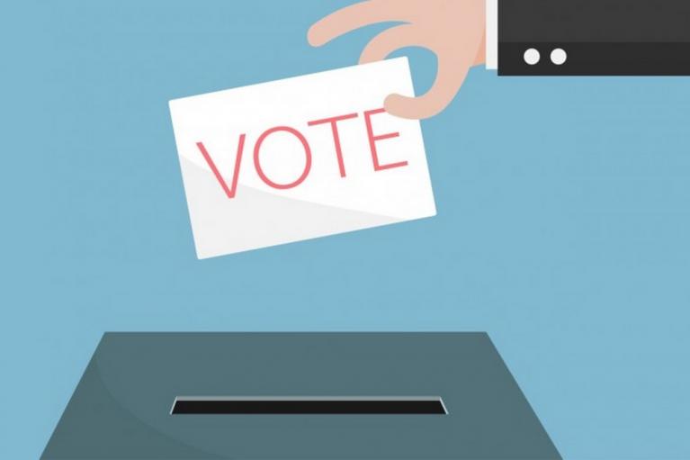 A voter
