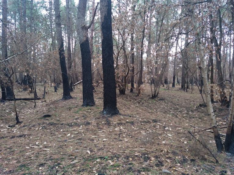 Incendie Bauge Mandy