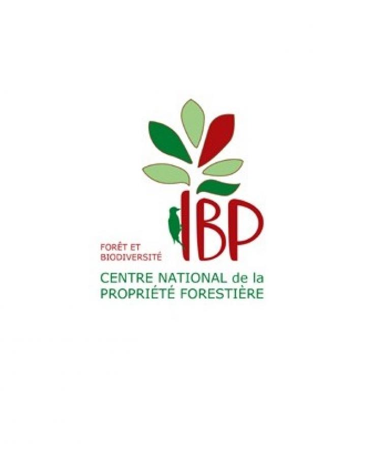 Logo IBP HD