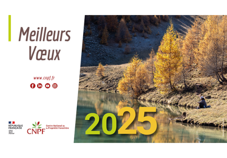 Voeux 2025 