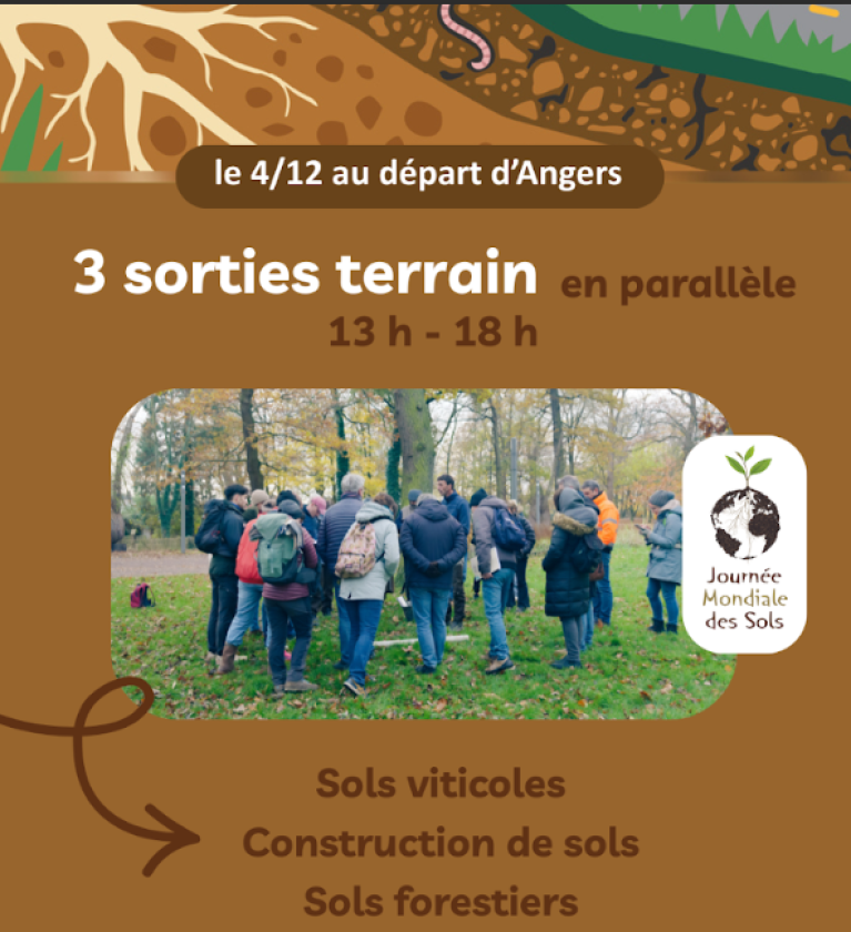Journée mondiale sol 2025 - sortie forêt