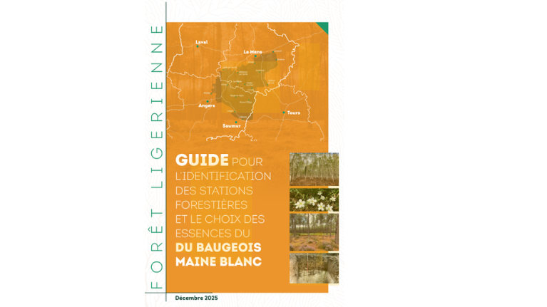 767x431 guide Baugeois