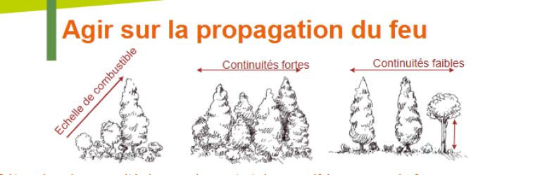 agir feu